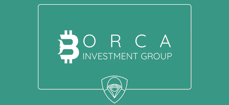 Orca Investment Group - logo